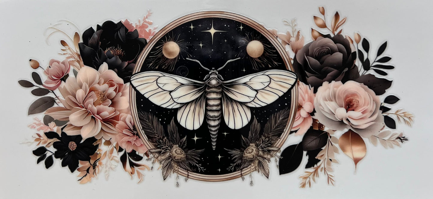 #287- Midnight Butterfly